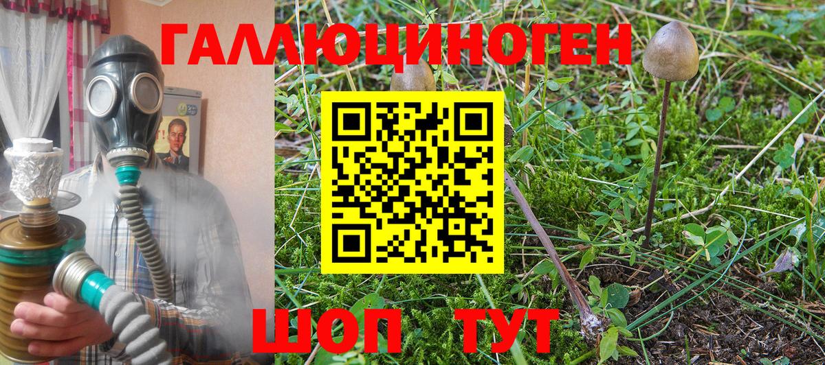Галлюциногенные грибы Psilocybe  Галлюциногенные грибы ЛСД  Вход с VPN  Малоярославец 