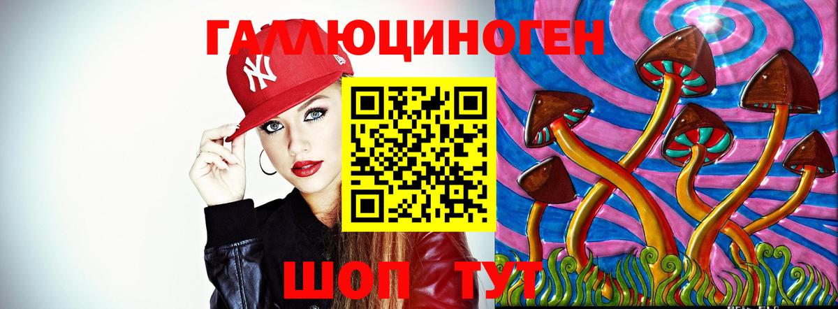 Псилоцибиновые грибы Psilocybe Малоярославец
